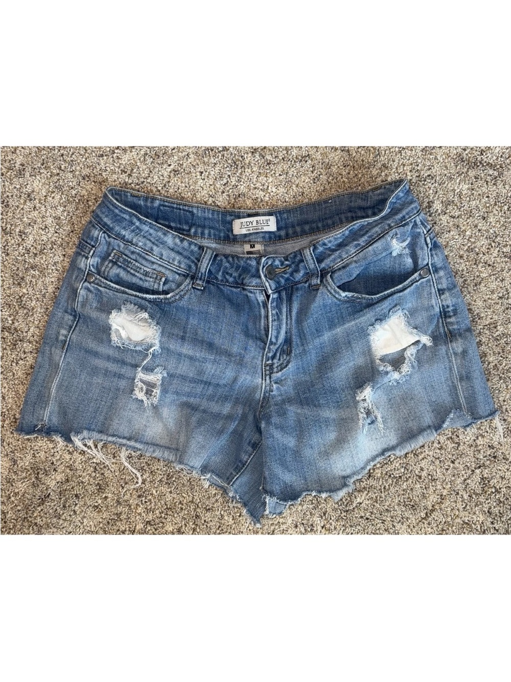 Judy Blue Light Blue Distressed Frayed Hem Jean Shorts
